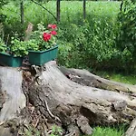 Haus Lutki *